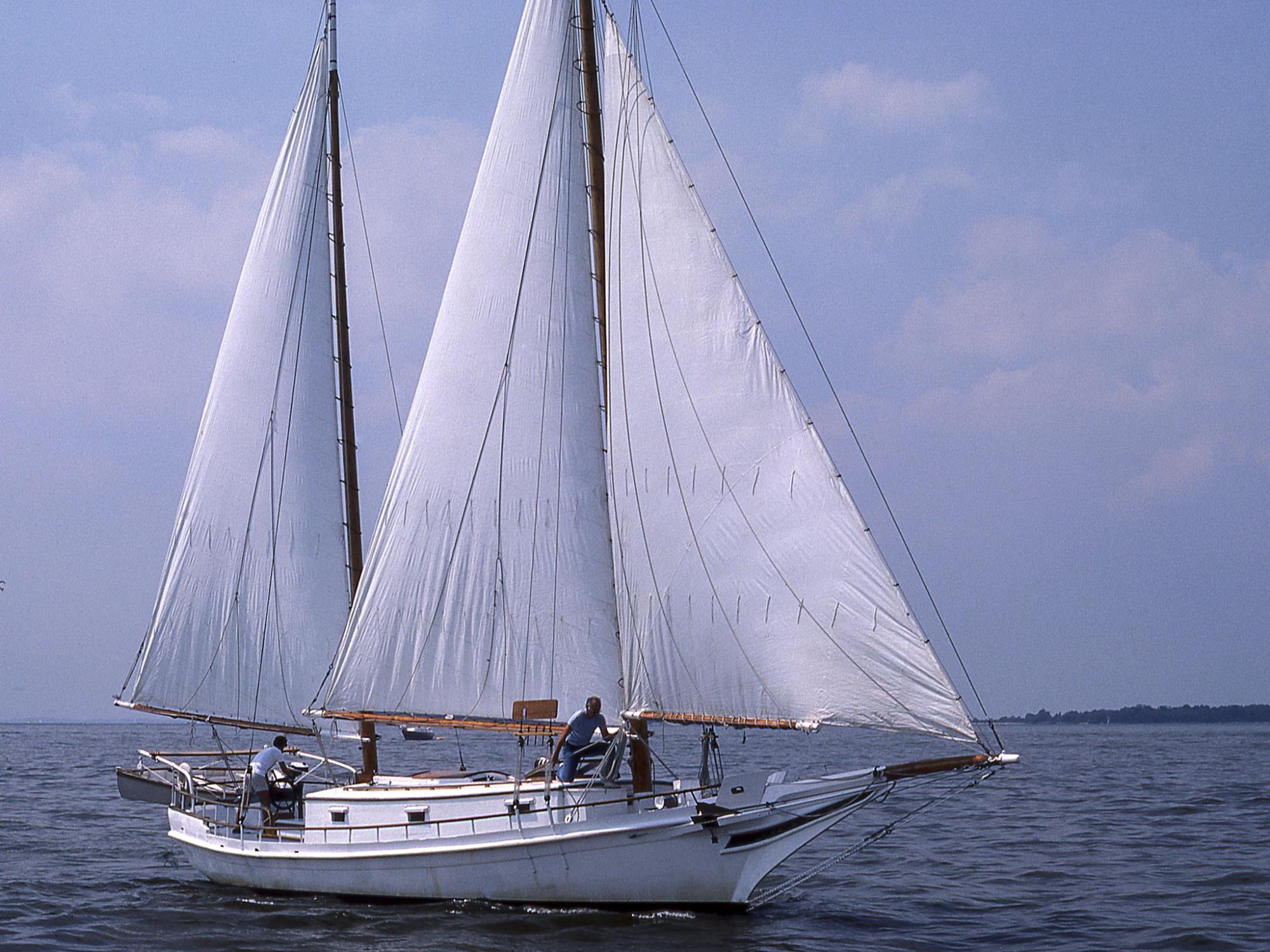 CBMM catalog image